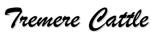 Tremere Name